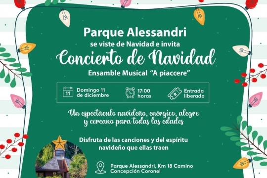 Concierto De Navidad En Parque Alessandri