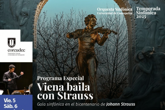 viena baila con straus