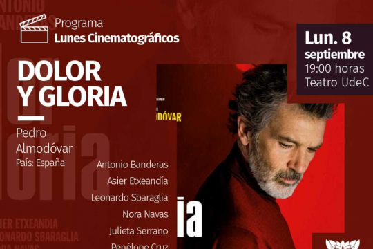 dolor y gloria  lunes cinematograficos