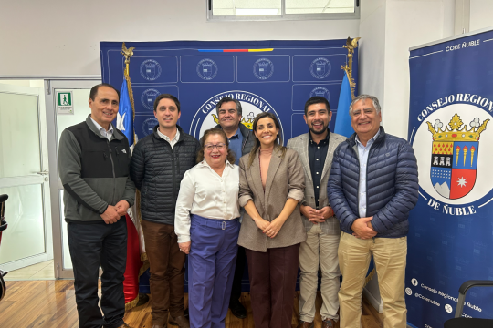 seremi de las culturas presento plan de trabajo e inversion 2026 ante comision del gobierno regional de nuble