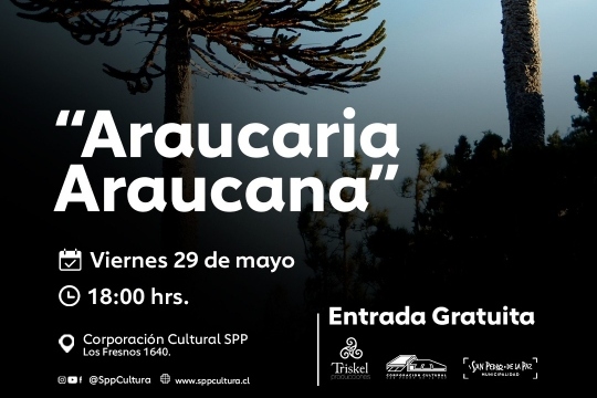 dia del patrimonio con exhibicion del documental araucaria araucana